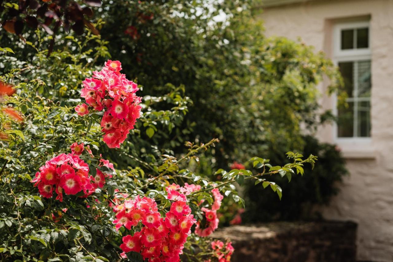Stoodleigh Court Coach House Bed & Breakfast Tiverton  Exterior photo